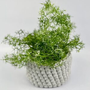 Crocheted Planter or Storage Pods